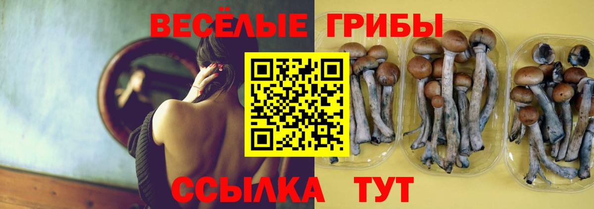 Галлюциногенные грибы ЛСД Северобайкальск